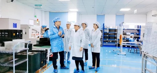 攜手共進(jìn)，共創(chuàng)未來(lái)——深圳擔(dān)保集團(tuán)蒞臨云里物里考察指導(dǎo)軟件開(kāi)發(fā)工作